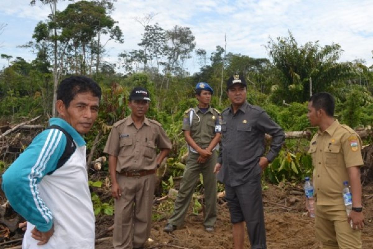 Hektare Lahan Agam Siap Dicetak Sawah Baru Antara Sumbar