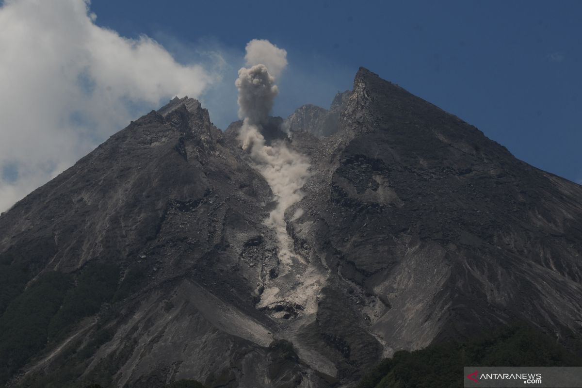 Aktivitas Guguran Awan Panas Gunung Merapi ANTARA News