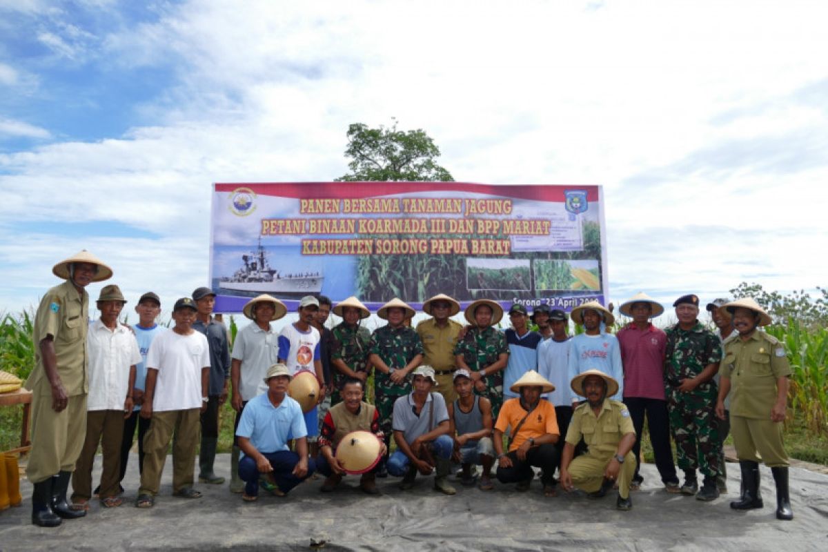 Tni Al Dan Petani Di Sorong Panen Jagung Antara News Papua Barat