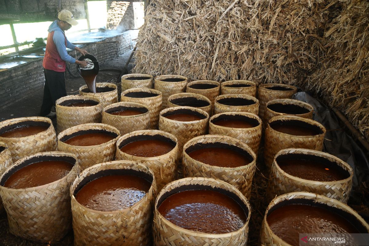 Pembuatan Gula Merah Secara Tradisional Di Kudus Antara News