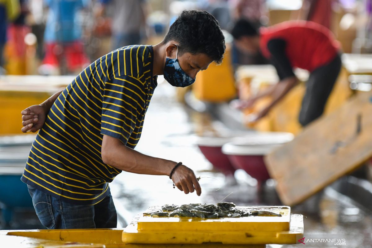 Penjualan Ikan Di Pasar Muara Angke Anjlok Hingga 70 Persen ANTARA News