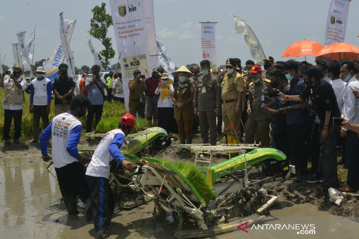 Mentan Panen Raya Padi Di Lampung Tengah Antara News