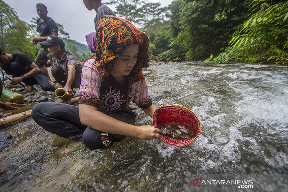 Tradisi Maliyu Masyarakat Dayak Meratus ANTARA News Kalimantan Selatan