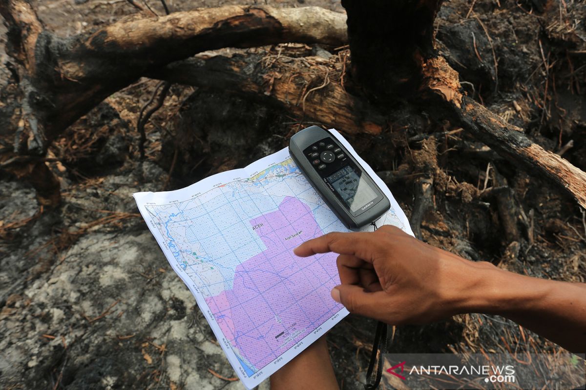 Perambahan Kawasan Suaka Margasatwa Rawa Singkil ANTARA News