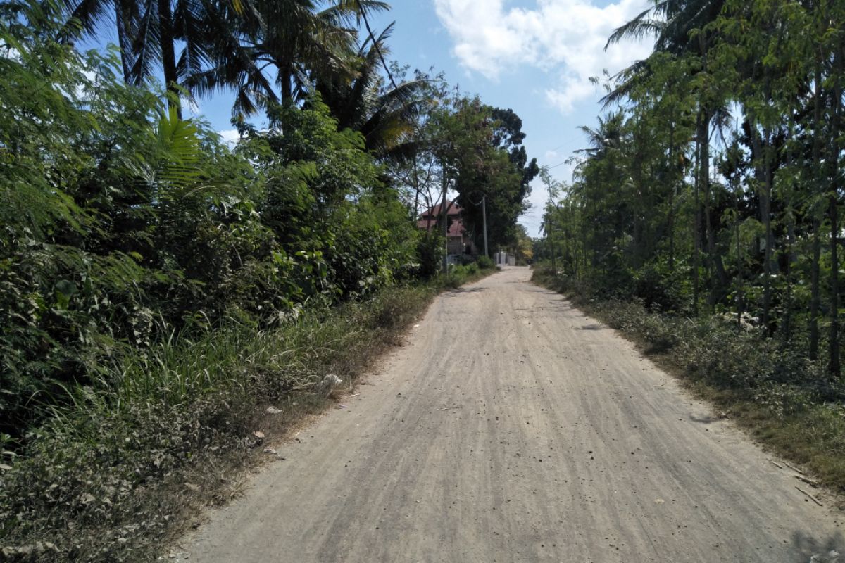 BPBD Lombok Tengah Akan Tetapkan Siaga Kekeringan ANTARA News