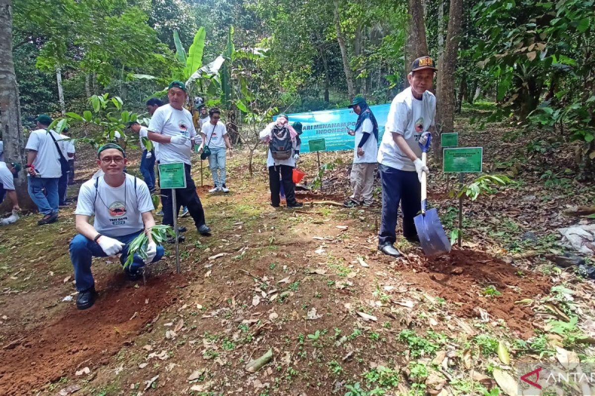 Peringati Hari Menanam Pohon Nasional 100 Karyawan Chandra Asri Tanam