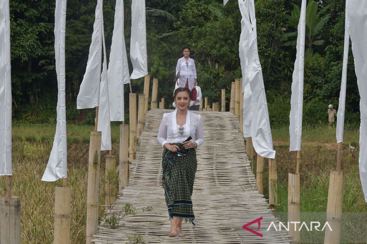 Peragaan Busana Di Tepi Sawah Antara News