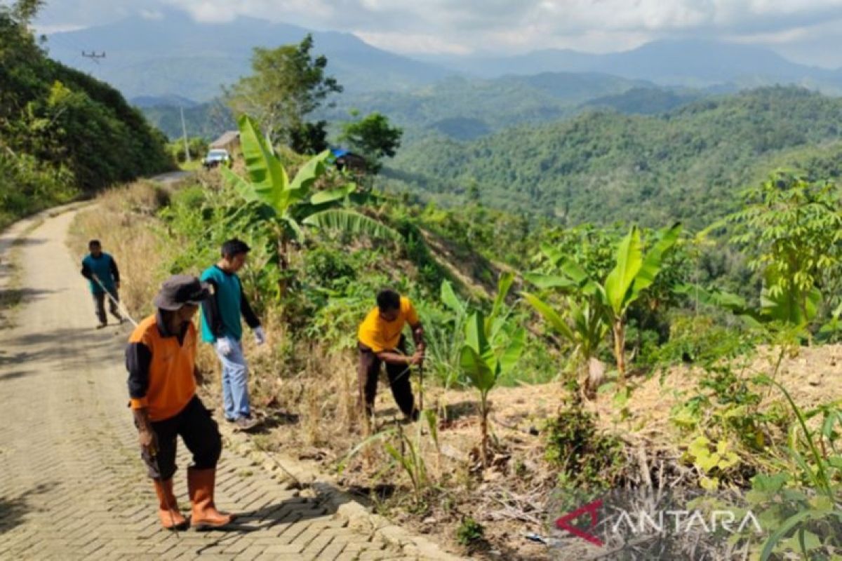 Pemkab HST Tanam Pohon Di Tebing Guna Cegah Bencana ANTARA News