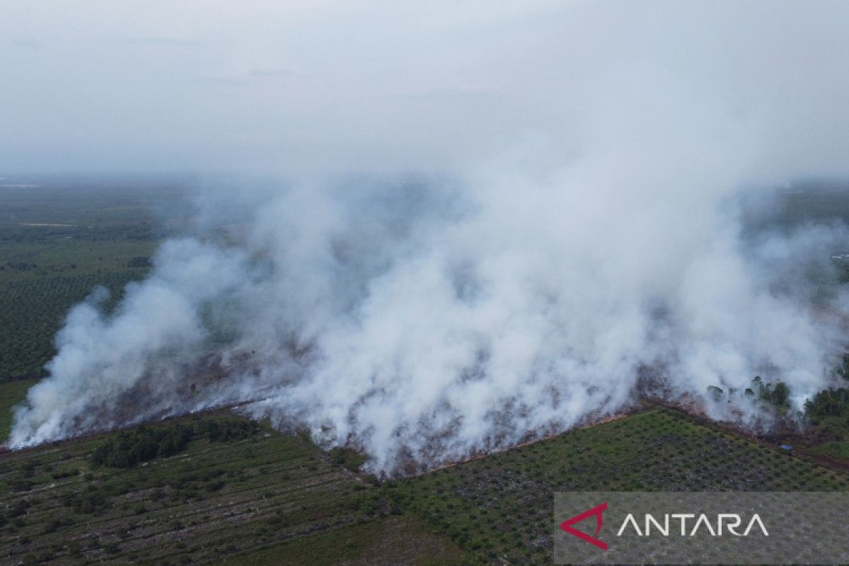 Karhutla Di Kabupaten Nagan Raya Capai 18 5 Hektare ANTARA News