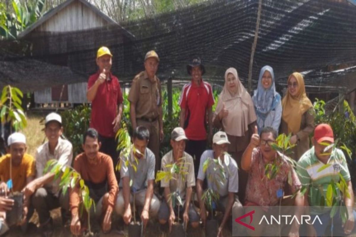 Pemkab Tabalong Bantu Bibit Durian Dan Pisang Ke Petani Antara News