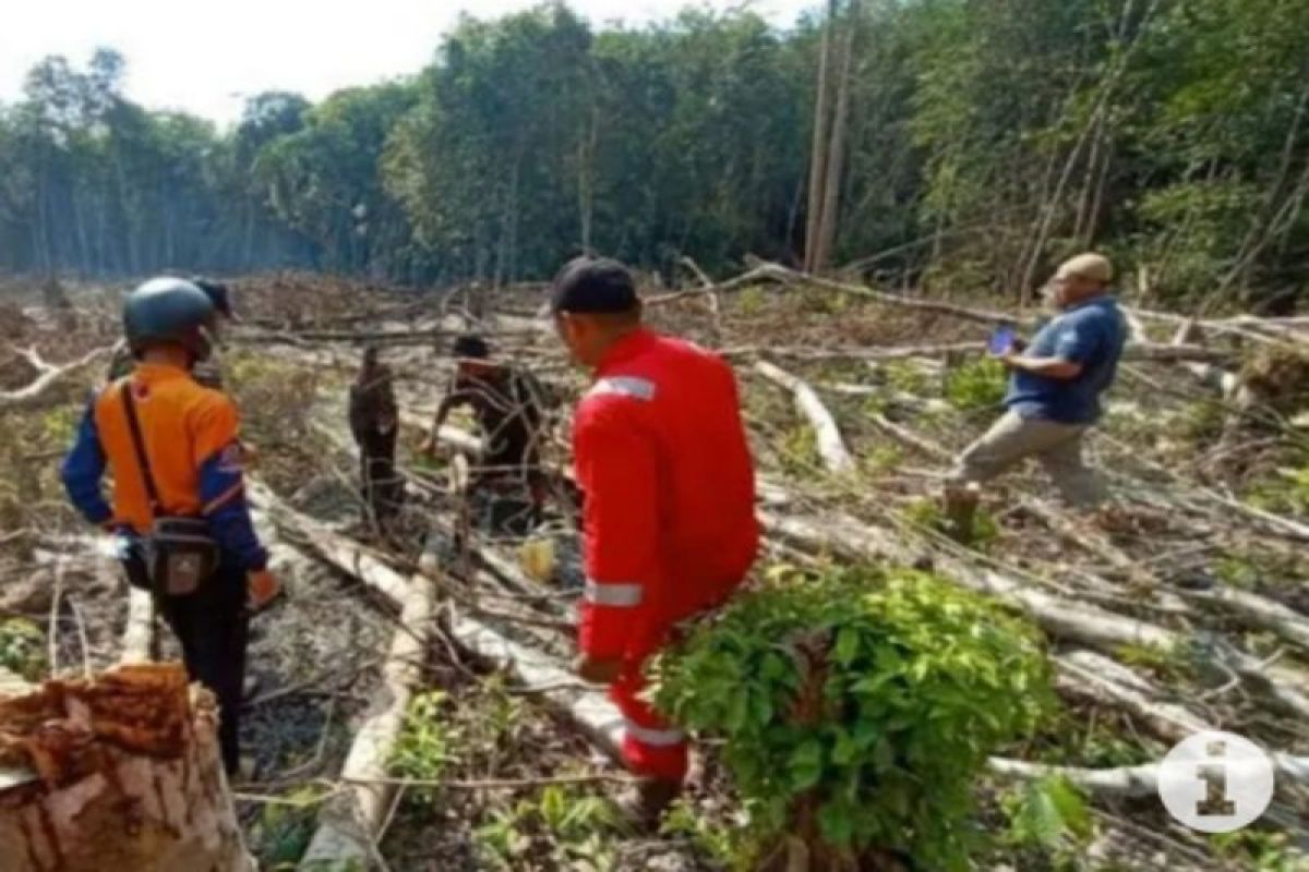 Disperkim Tabalong Kuota Pelepasan Kawasan Hutan Hektare