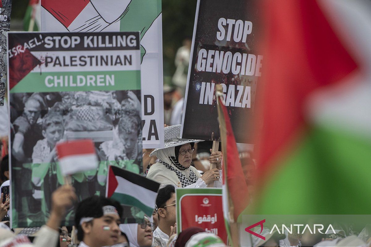 Wakil Ketua MUI Bangsa Indonesia Sudah Seharusnya Membela Palestina