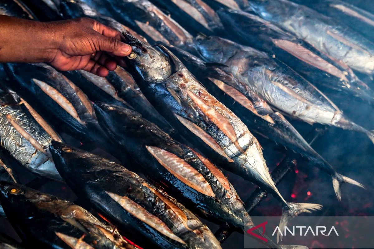 Mengintip Pembuatan Ikan Cakalang Fufu Di Pulau Bacan Antara News