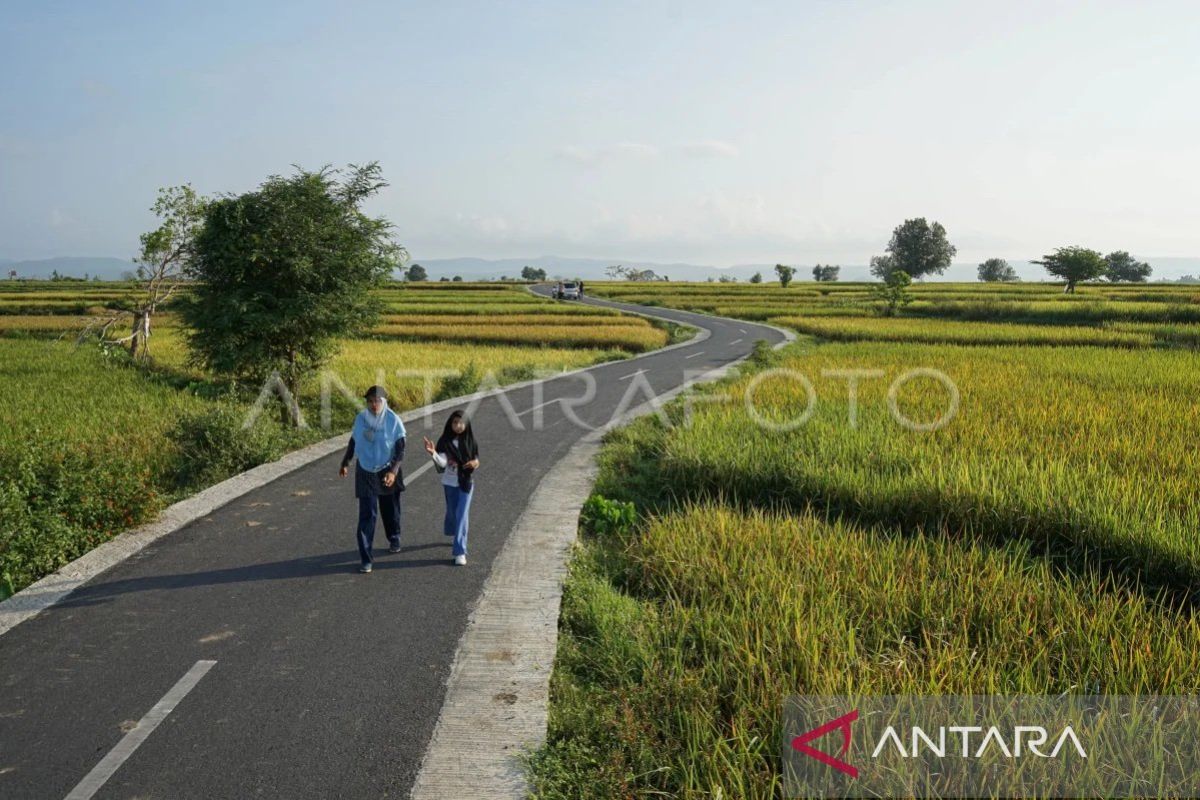 Aceh Diminta Optimalkan Pengembangan Pariwisata Dongkrak Ekonomi