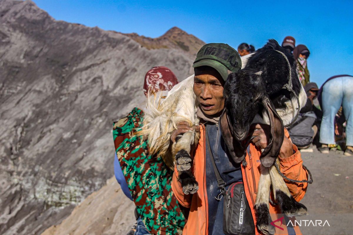 Sakralnya Ritual Yadnya Kasada Suku Tengger Di Gunung Bromo ANTARA News