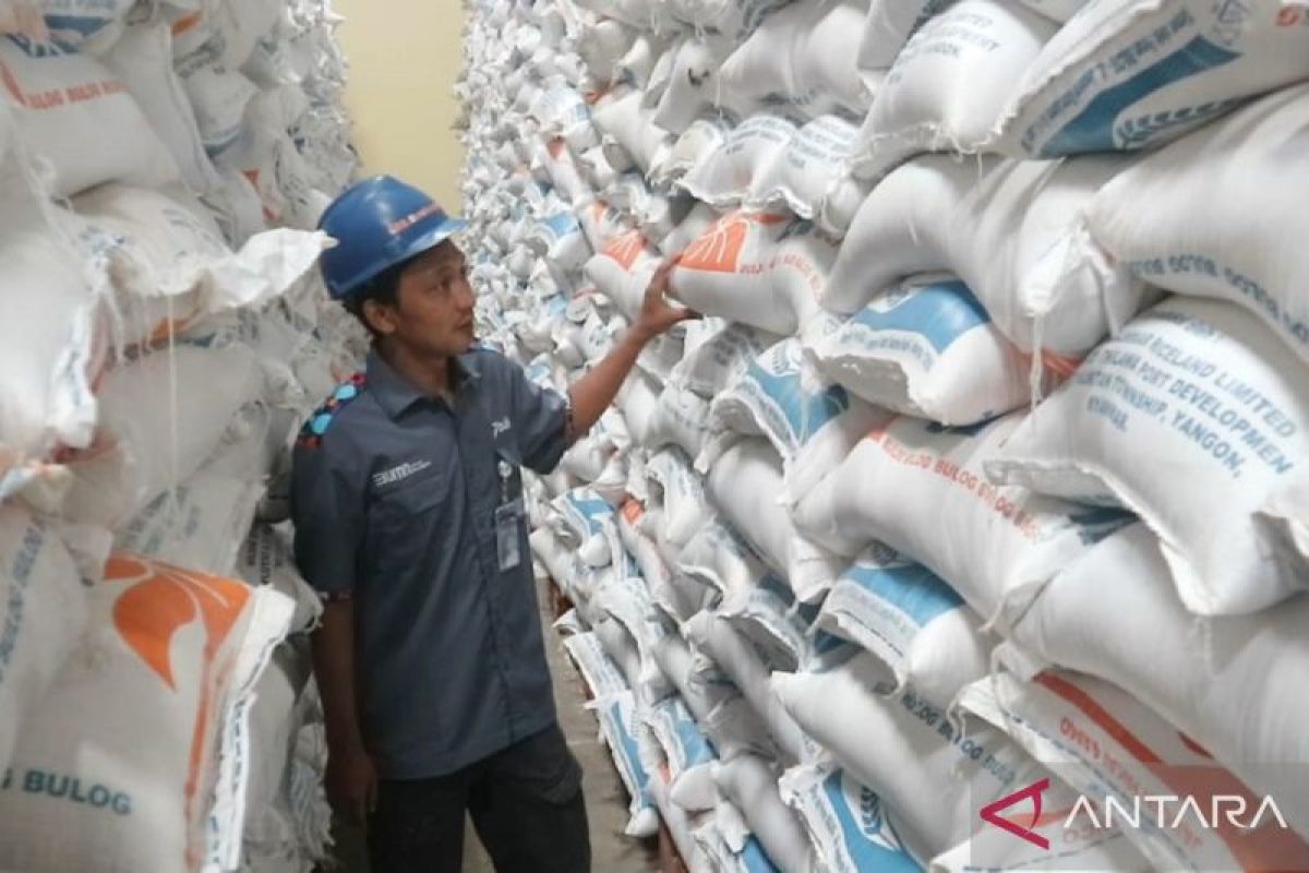 Bulog Madiun Optimalkan Serapan Gabah Dengan Hpp Rp Per Kilogram