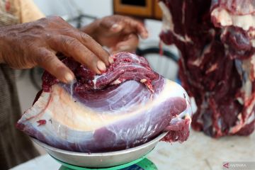 Harga Daging Selama Tradisi Meugang Di Aceh Antara News