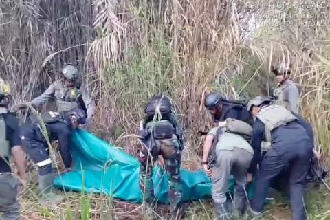 Kkb Serang Pekerja Puskesmas Di Puncak Papua Tengah Telan Tiga Korban