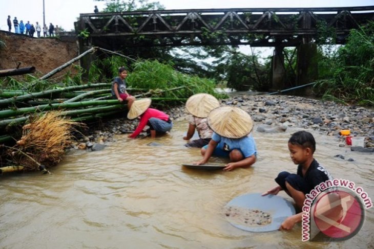 Mendulang Emas Di Sungai ANTARA News Kalimantan Barat