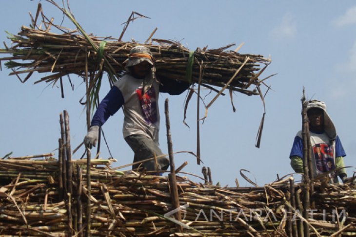 Petani Tebu Keluhkan HET