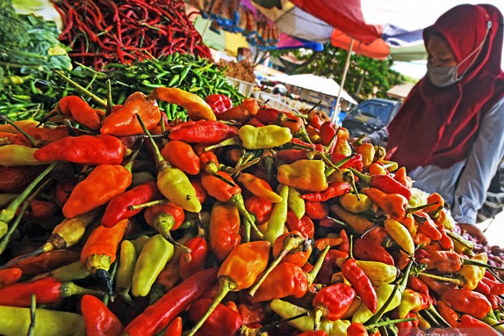 Harga Cabai Rawit Tembus Rp100 Ribu Per Kilogram ANTARA News Aceh