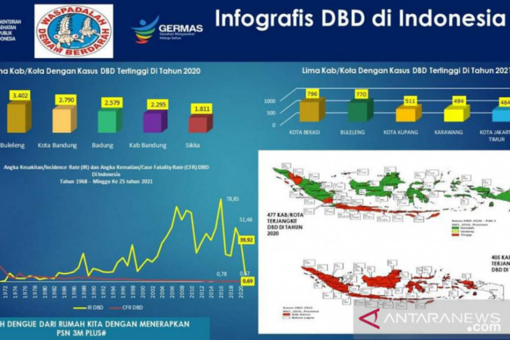 Kemenkes Jelaskan Lima Daerah Duduki Angka Kasus DBD Tertinggi ANTARA News Banten