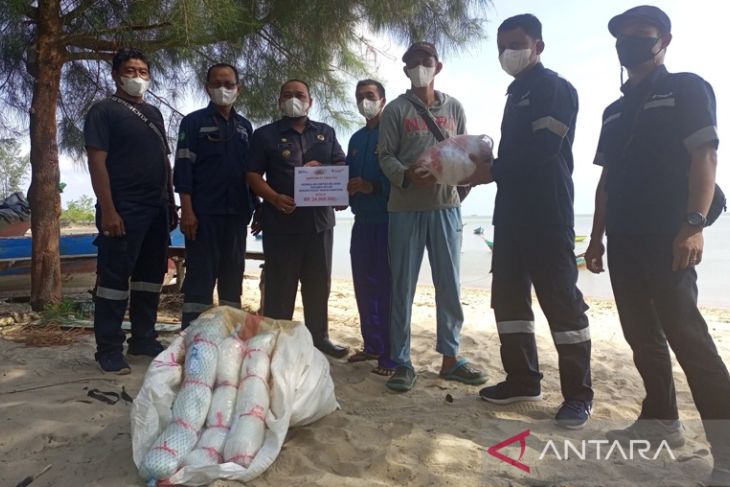 Pt Timah Tbk Salurkan Bantuan Jaring Udang Ke Nelayan Bangka Barat