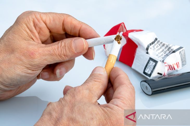 Tiga Fakta Nikotin Yang Perlu Anda Ketahui ANTARA News Bangka Belitung