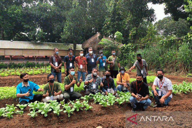 Lulus Dari Polbangtan Kementan Petani Milenial Ini Sukses Kembangkan