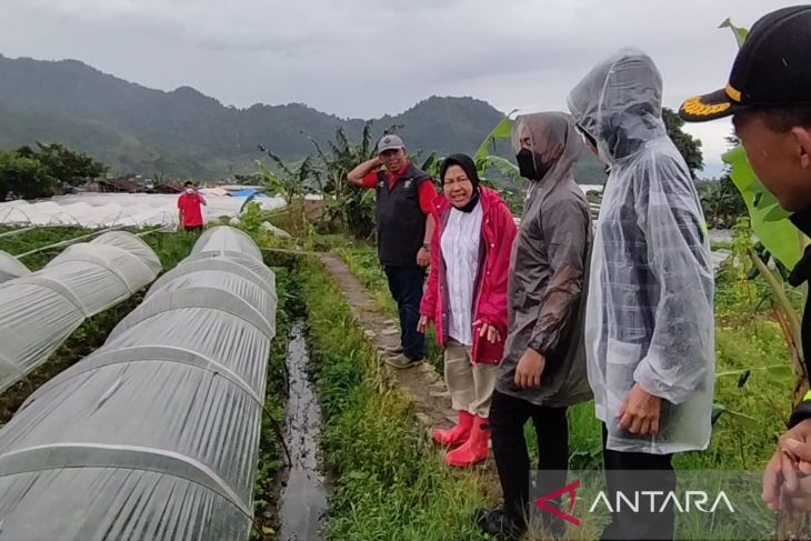 Mensos Risma Kunjungi Warga Terdampak Gempa Di Pelosok Cianjur ANTARA