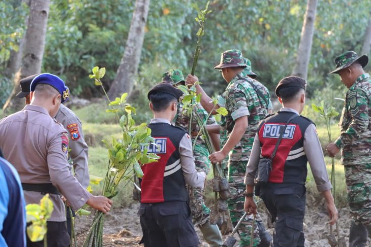 Ratusan Personel TNI Polri Tanam Mangrove Di Pesisir Trenggalek