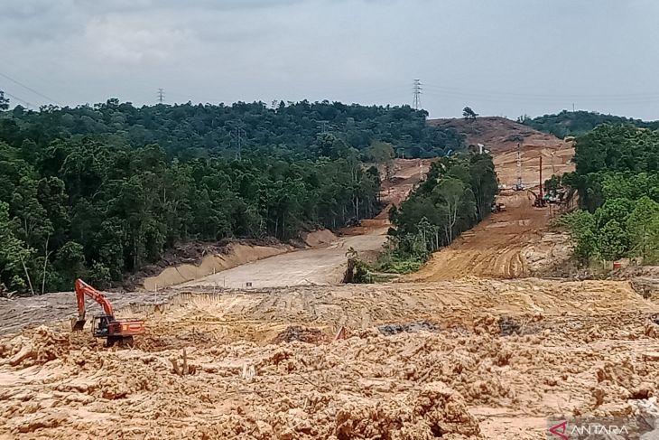 Otorita Tegaskan Pembangunan Ikn Perhatikan Kelestarian Satwa Liar