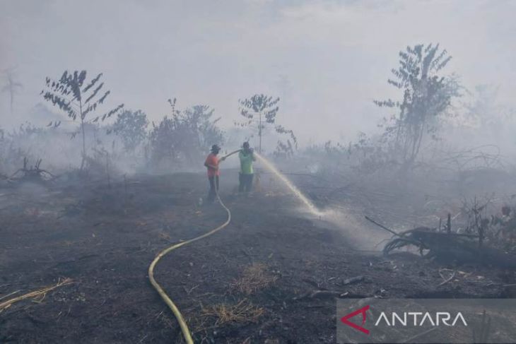 Pemadaman Karhutla Di Nagan Raya Aceh Terkendala Sumber Air ANTARA