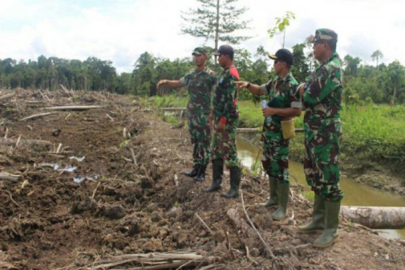 Upaya Kodim Paniai Menyukseskan Swasembada Pangan Di Nabire ANTARA