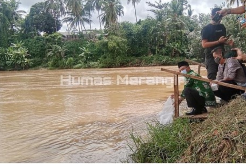 Benih Ikan Semah Disebar Di Sungai Batang Merangin Antara News Jambi