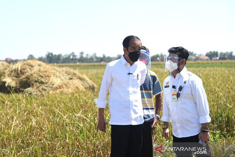 Mentan Syahrul Jamin Harga Gabah Petani Sesuai HPP ANTARA News