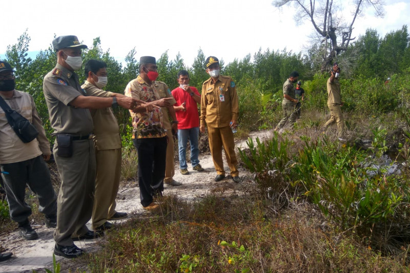 Ketua DPRD Bangka Minta Lahan Kebun Miliknya Dikembalikan ANTARA News