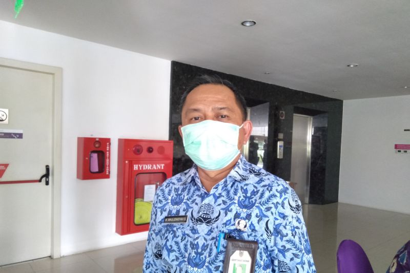 Ribu Hektare Perkebunan Karet Di Kalsel Perlu Peremajaan Antara