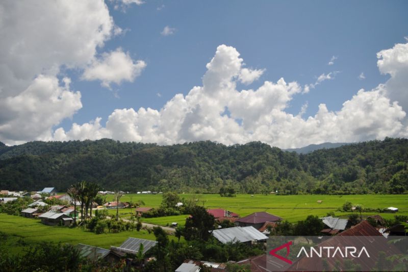 Kartini Di Lembah Adat Toro Kabupaten Sigi Antara News