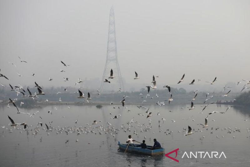 Tiga Orang Tewas Dan 17 Hilang Dalam Insiden Kapal Terbalik Di India