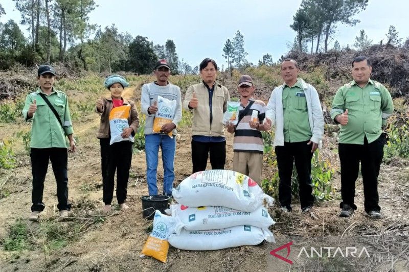 Pemprov Sumut Sediakan Benih Gratis Buat 33 Ribu Hektare Sawah ANTARA