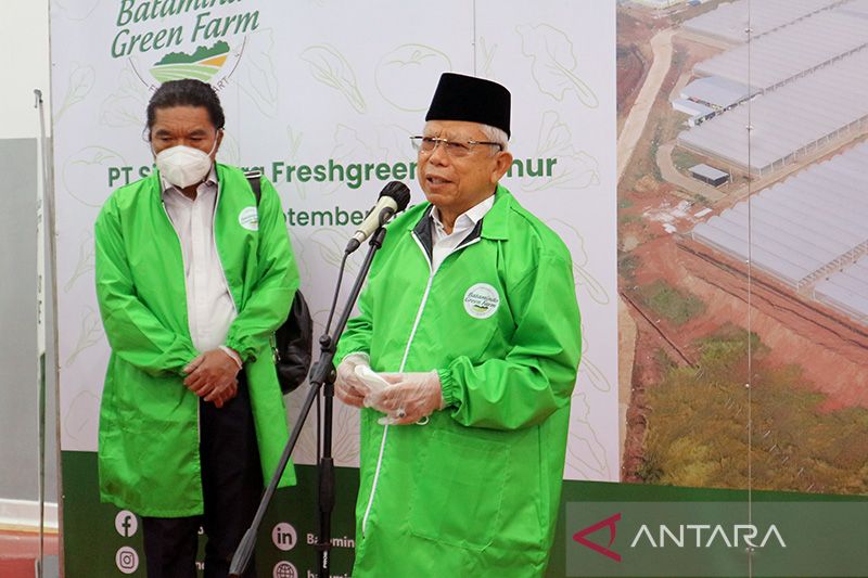 Wapres Ma Ruf Pemerintah Belum Cabut Moratorium Pemekaran Daerah