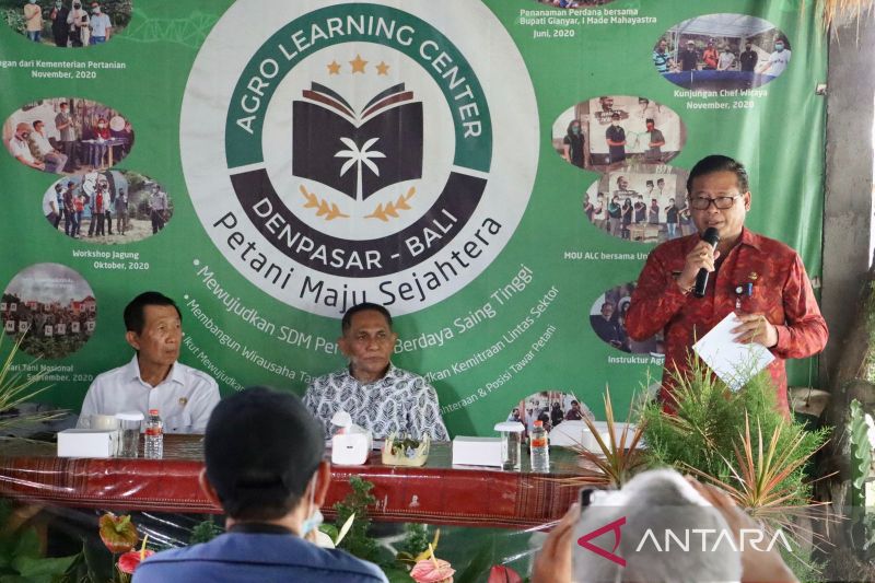 Pemkot Denpasar 500 Hektare Lahan Dukung Ketahanan Pangan ANTARA