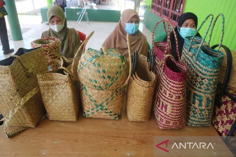 Bupati Dorong Pengembangan Kerajinan Purun Untuk Topang Perekonomian