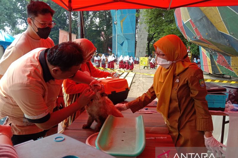 Festival Cisadane Di Tangerang Sediakan Layanan Vaksin Rabies Gratis