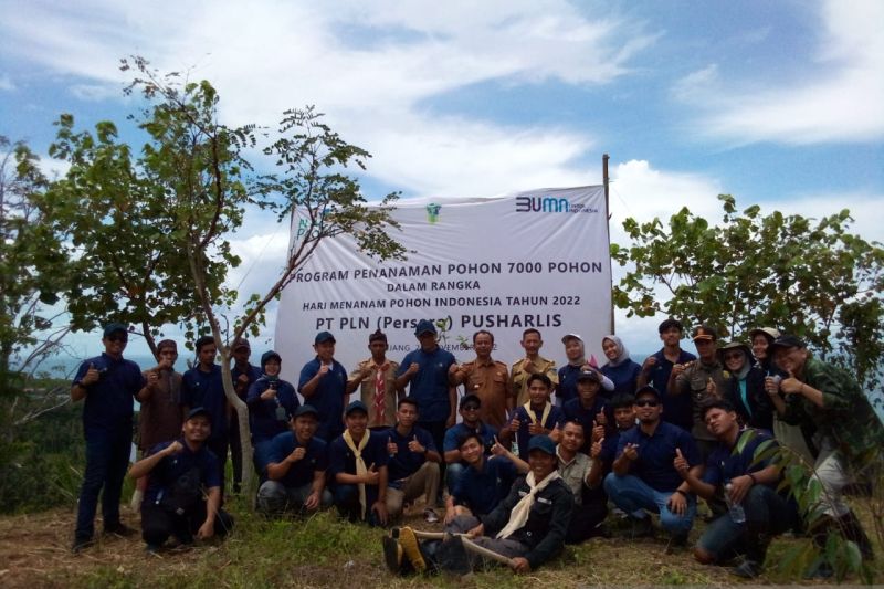 MAPALBARA Tanam 1302 Pohon Di Bumi Perkemahan Cikujang Pandeglang