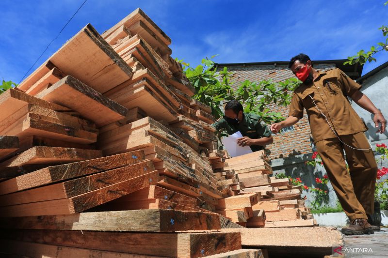 KLH Bekukan Izin Penatausahaan Hasil Hutan Di Nagan Raya Aceh ANTARA