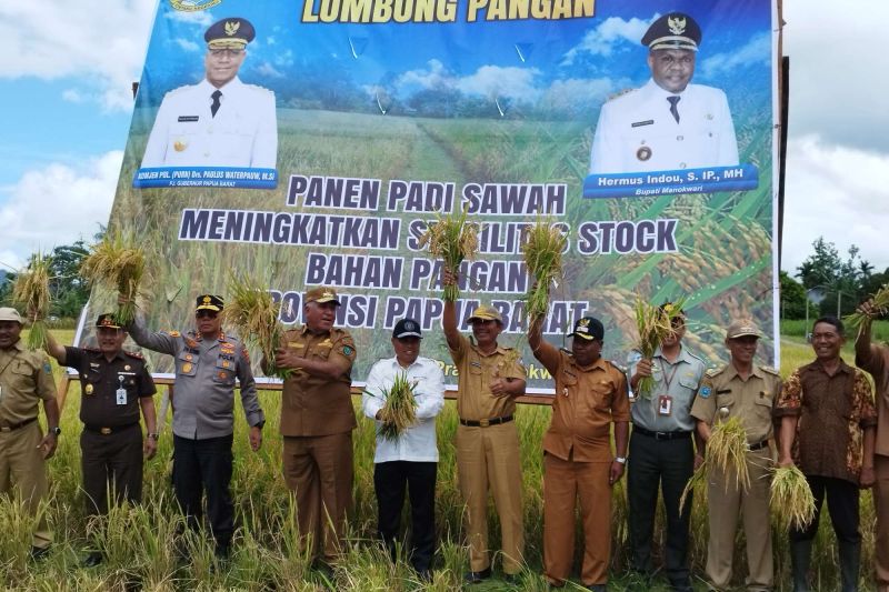 Pemprov Papua Barat Targetkan Manokwari Jadi Lumbung Beras Antara