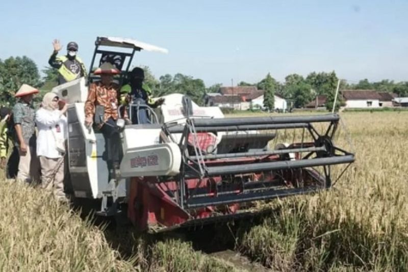 Pemkab Magetan Dukung Gerakan Panen Padi Nusantara Satu Juta Hektare