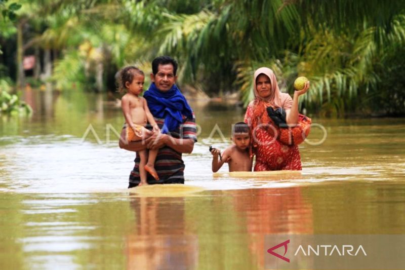 Banjir Rendam Delapan Kecamatan Di Kabupaten Aceh Barat ANTARA News